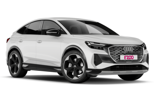 audicropped audicropped